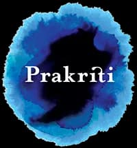 Prakriti Visual